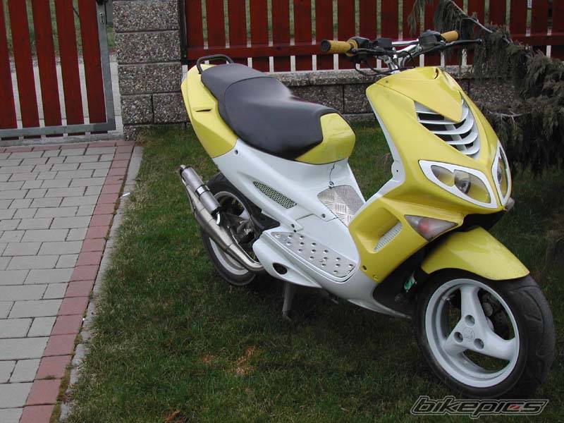 Photo 125259