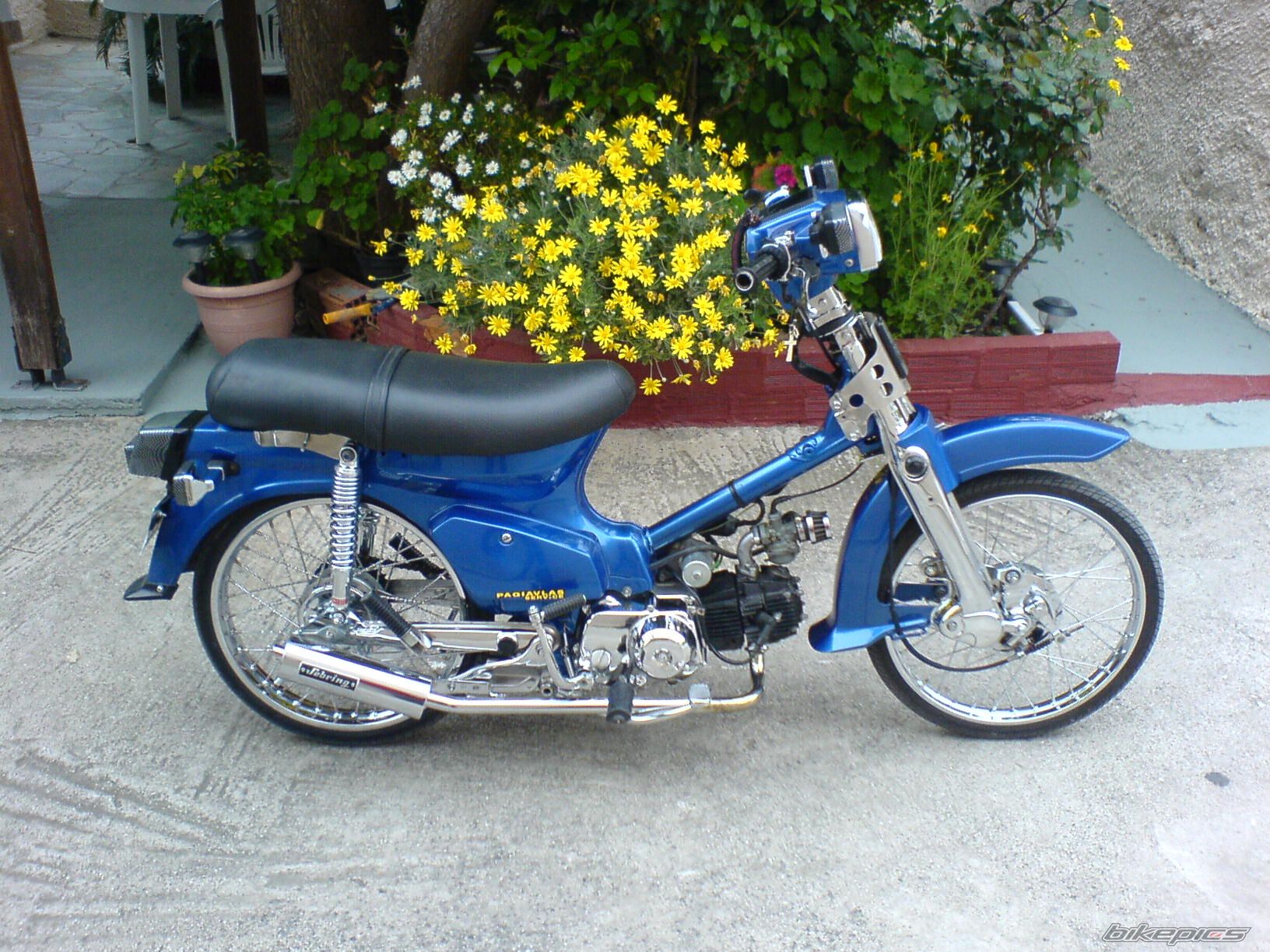 Photo 1252608