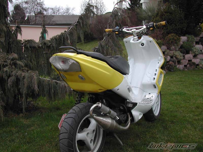 Photo 125261