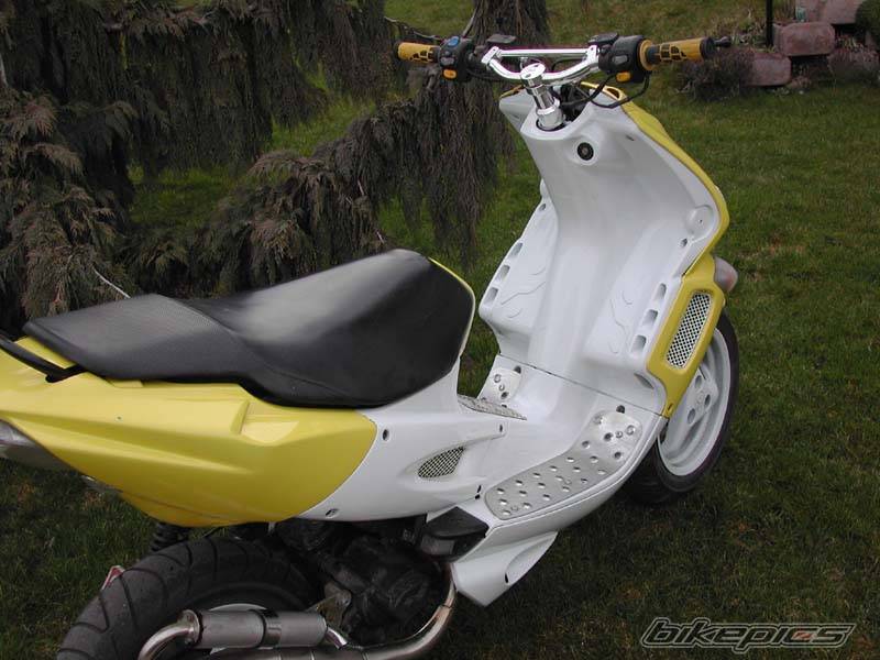 Photo 125264