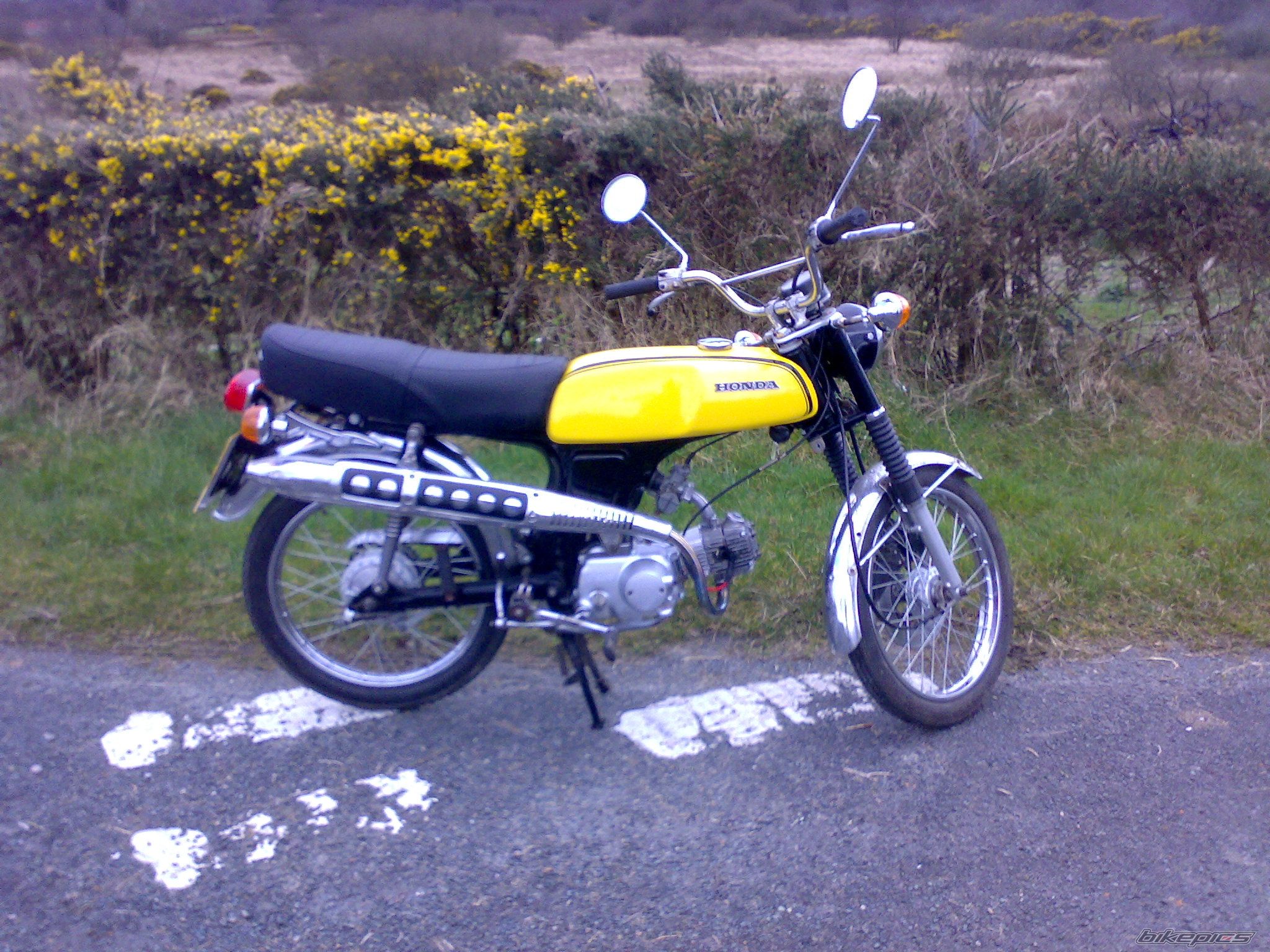 Photo 1252667
