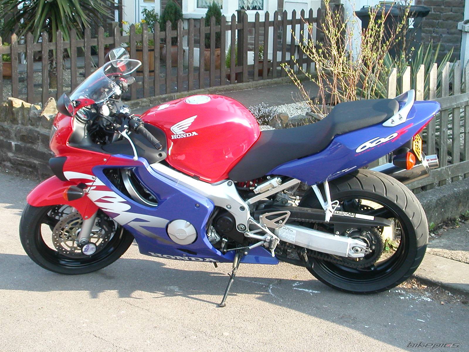 Photo 125267