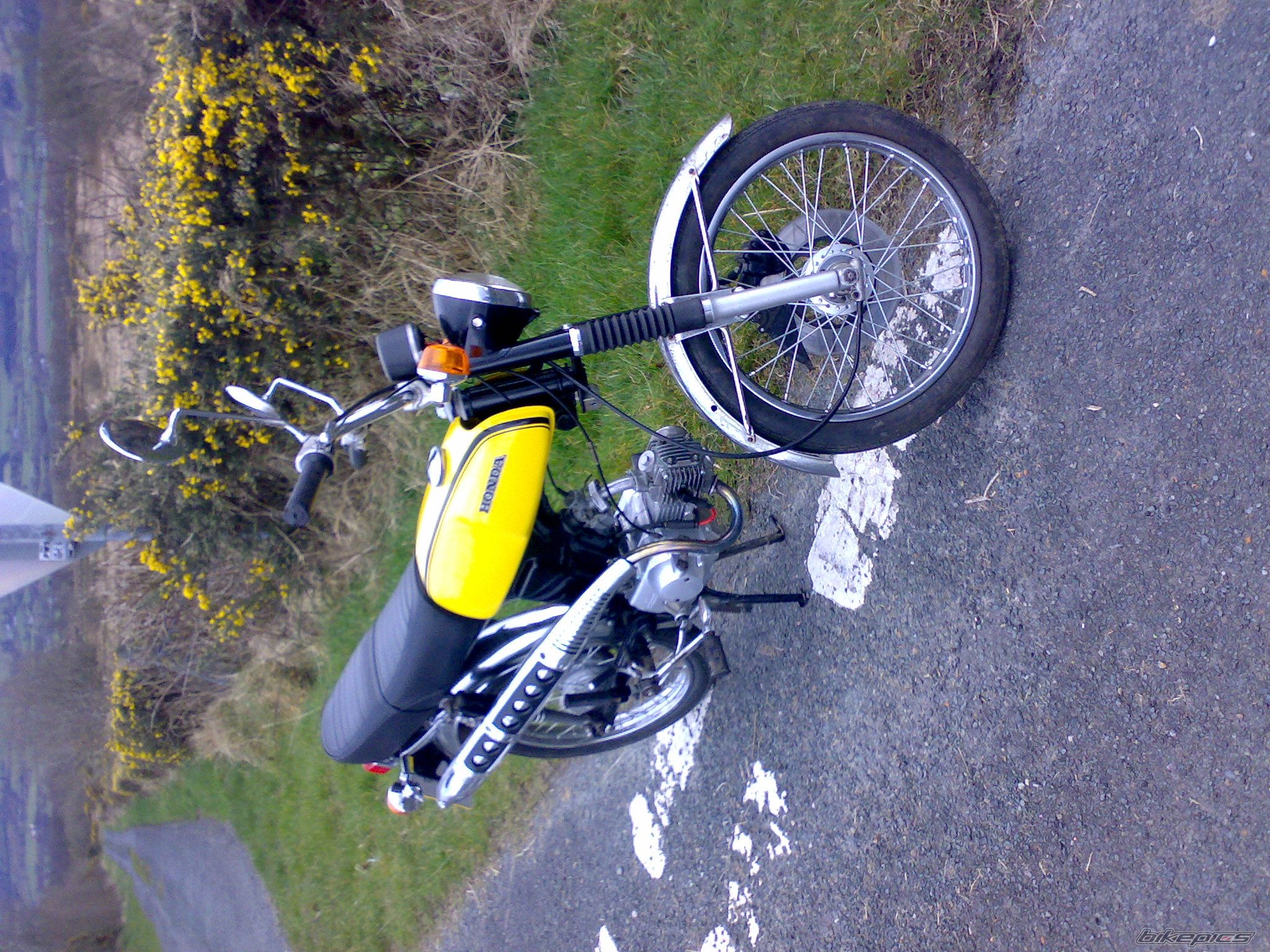 Photo 1252682