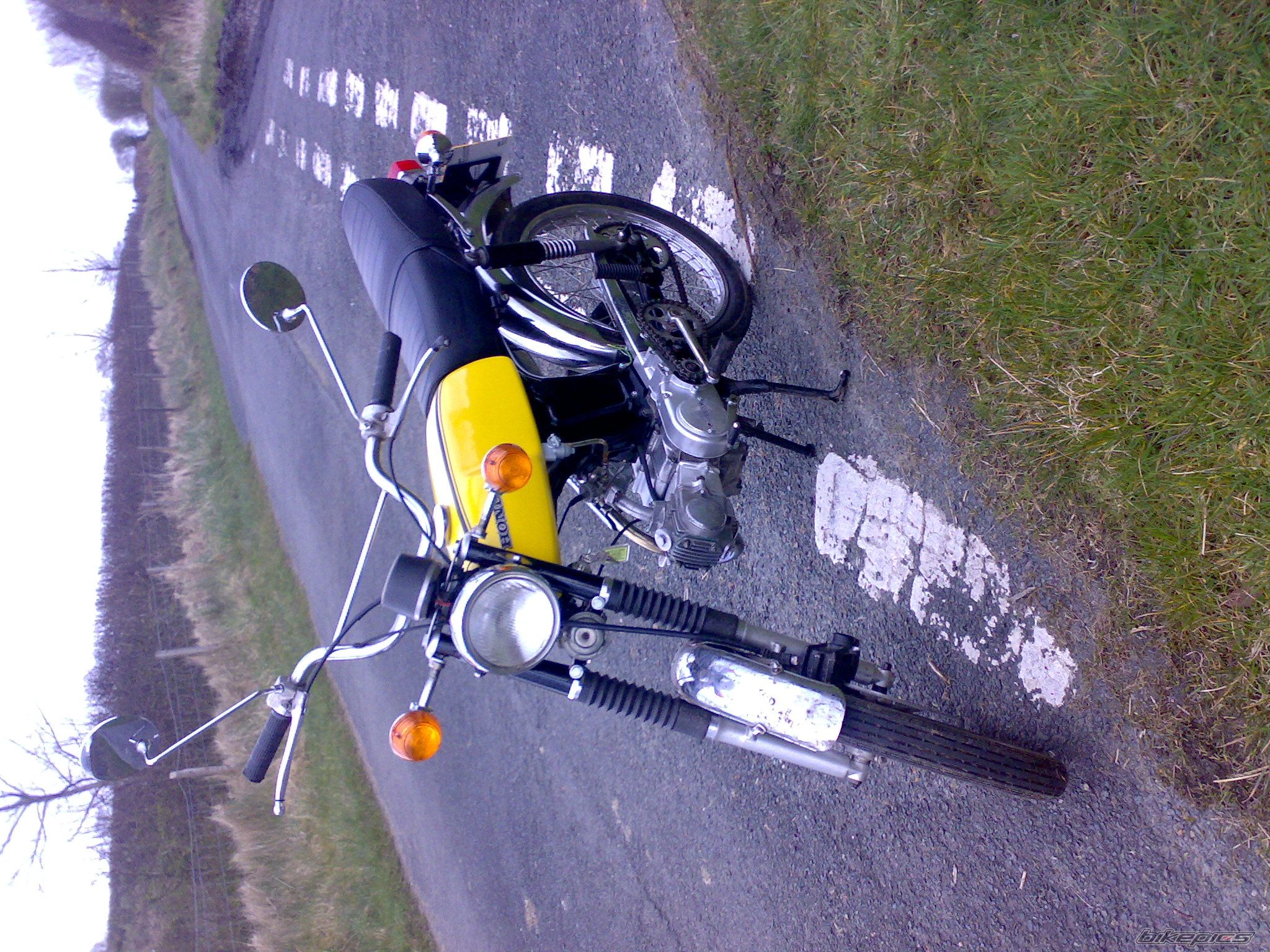 Photo 1252687