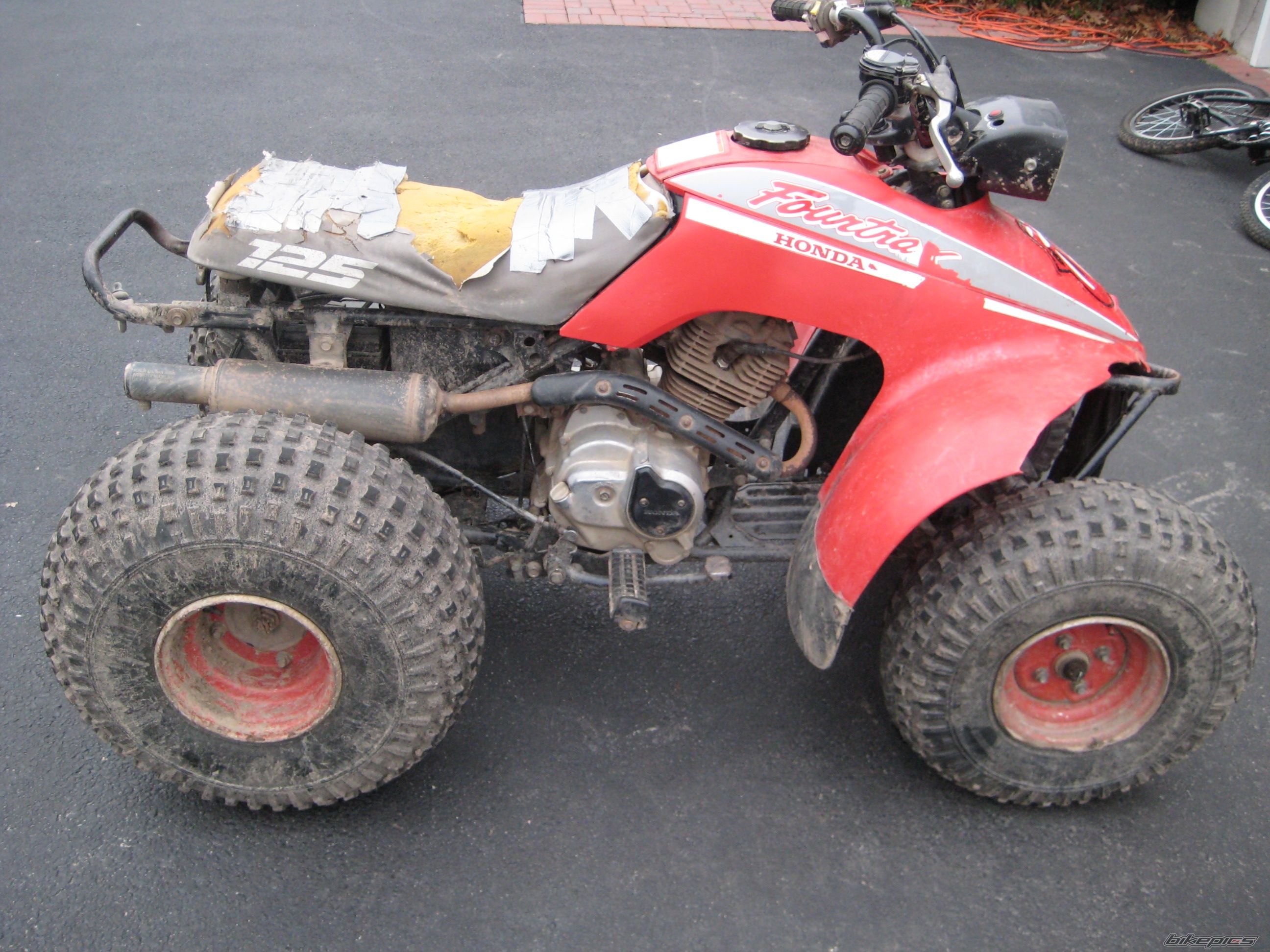 Photo 1252729