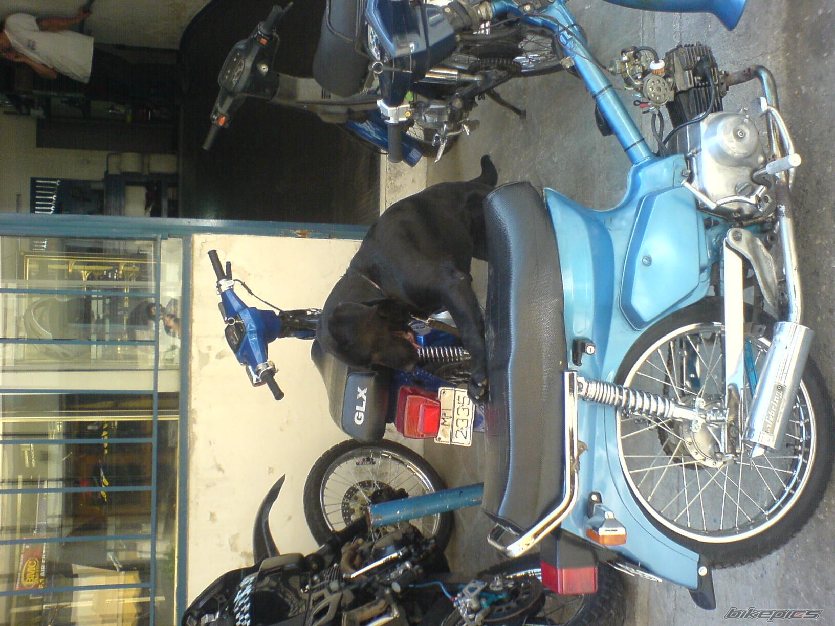 Photo 1252746