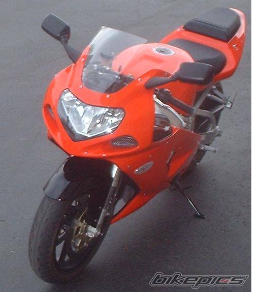 Photo 12528