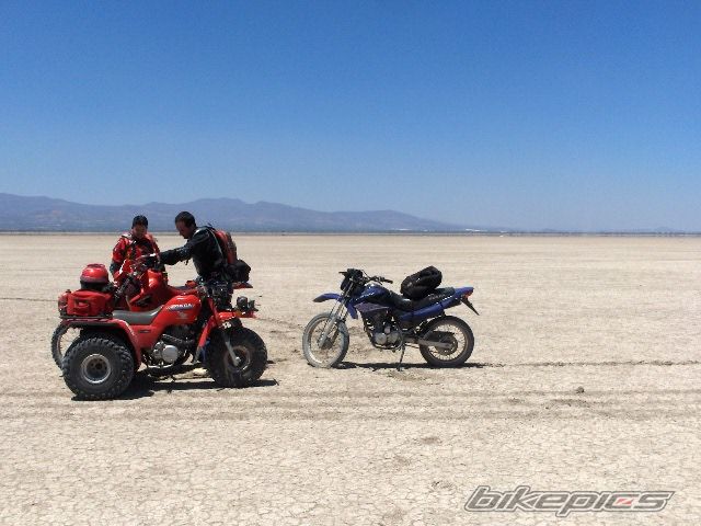 Photo 1252830