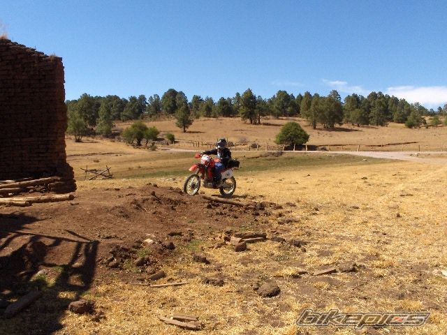 Photo 1252835
