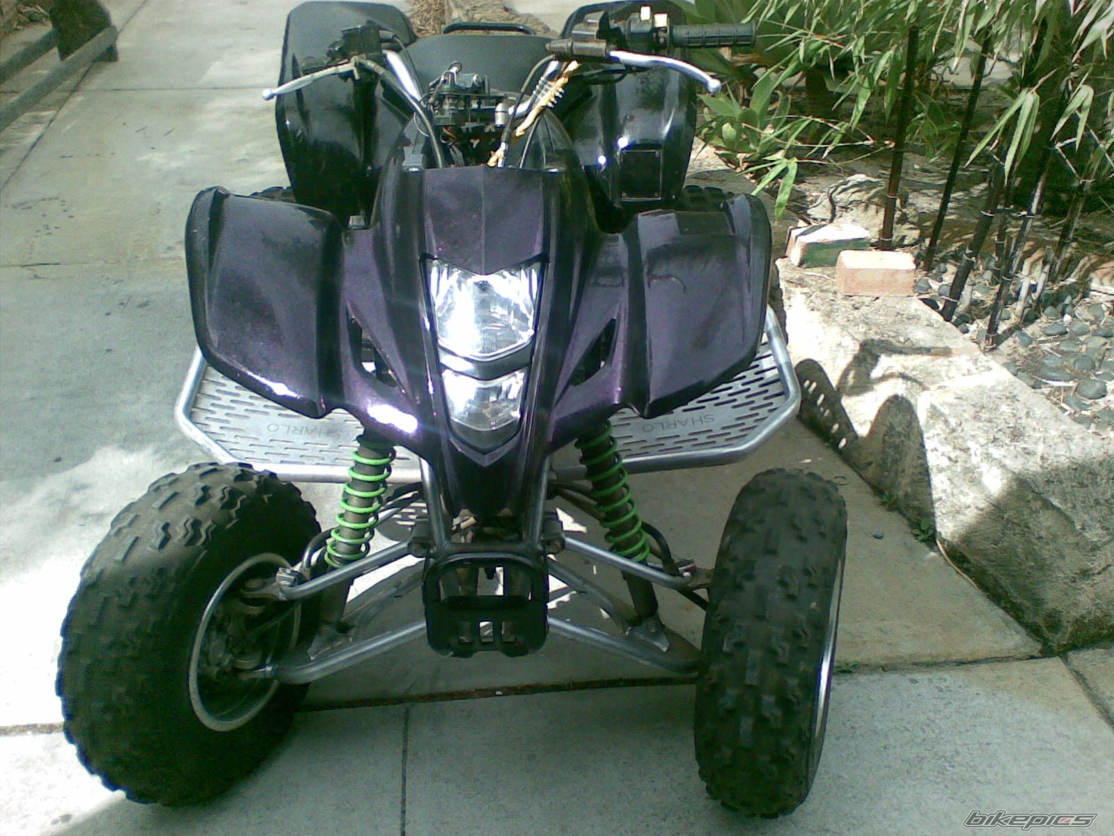 Photo 1252848