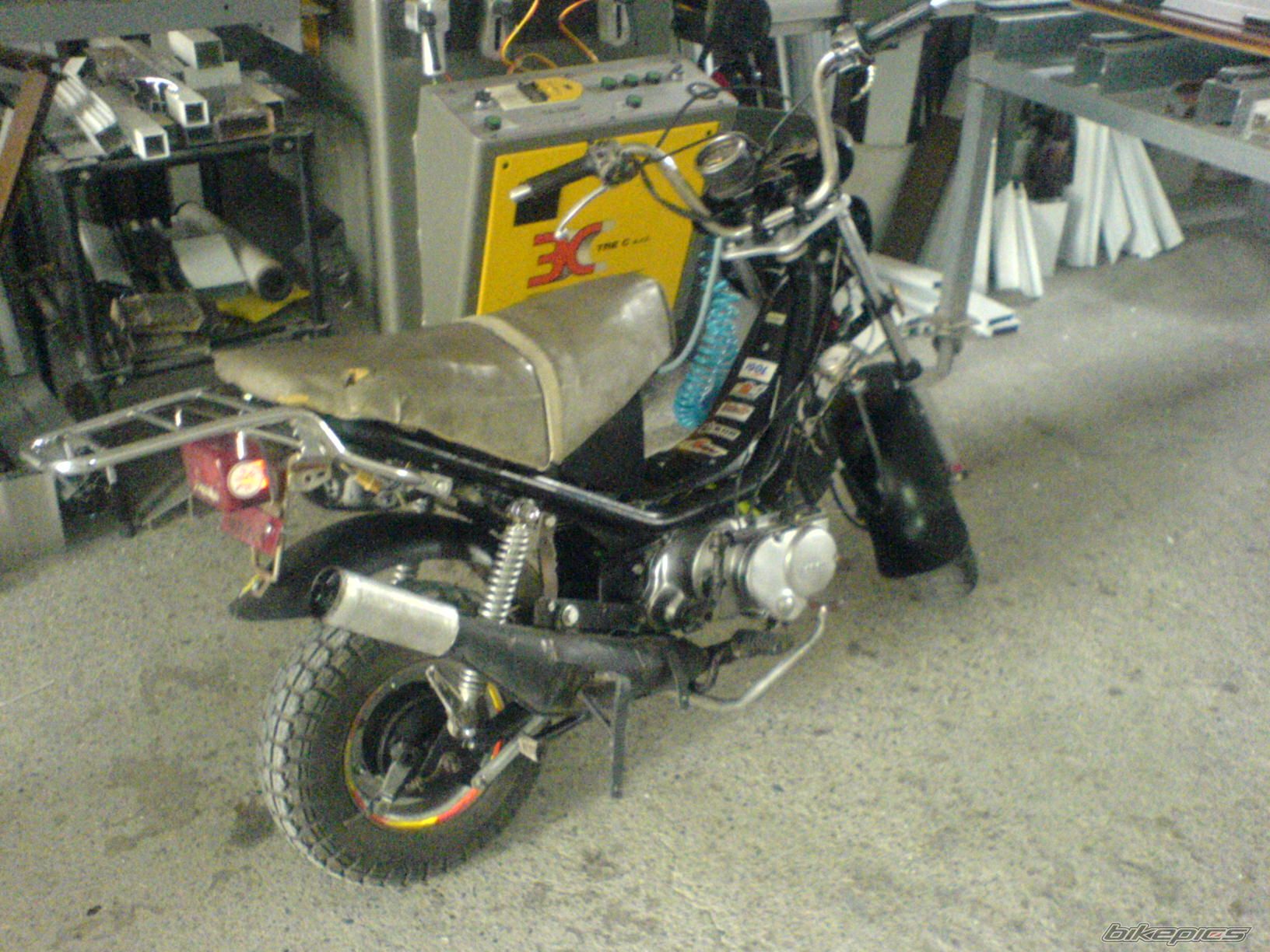 Photo 1253005