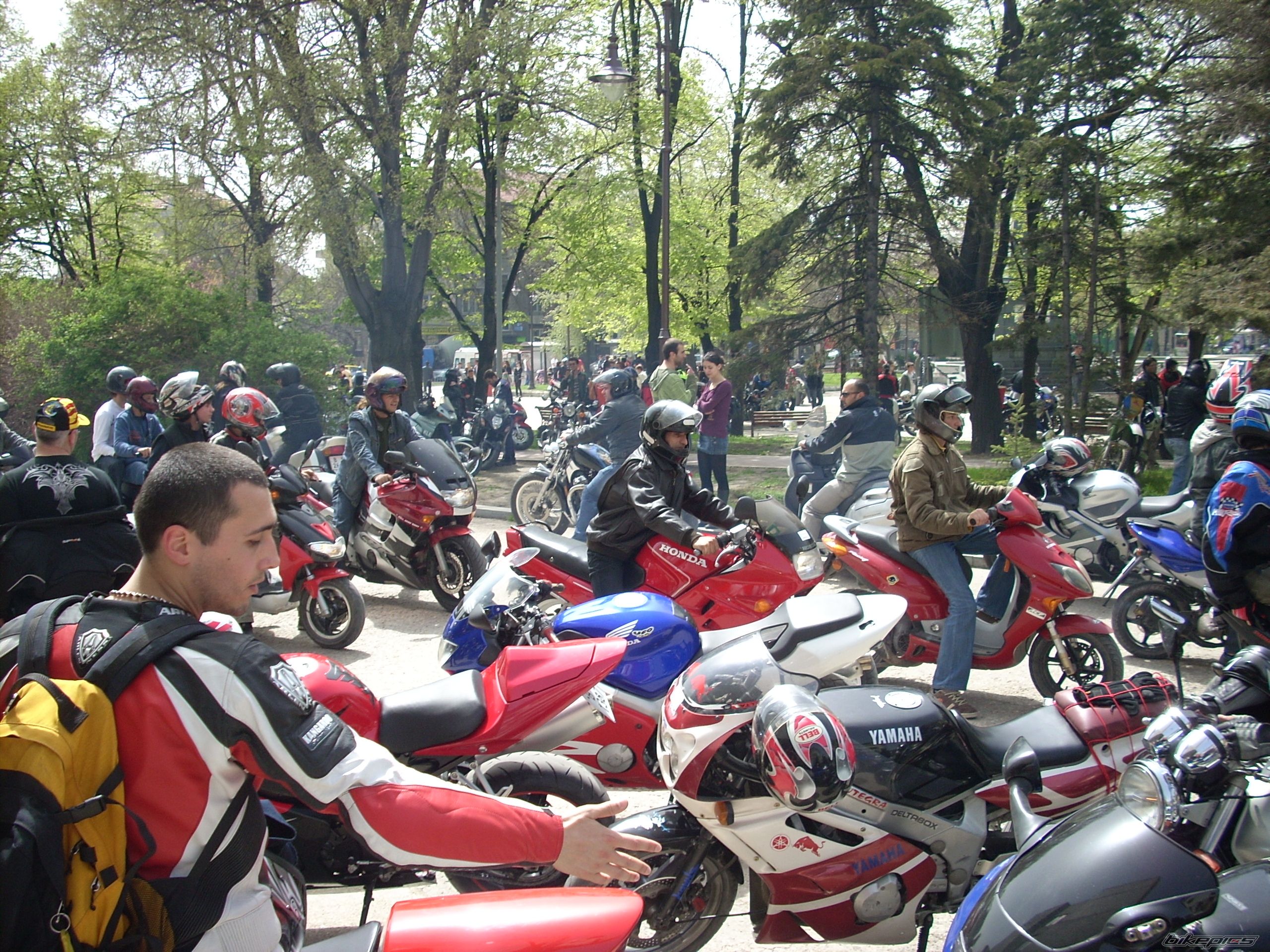 Photo 1253009