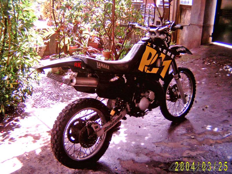 Photo 125302