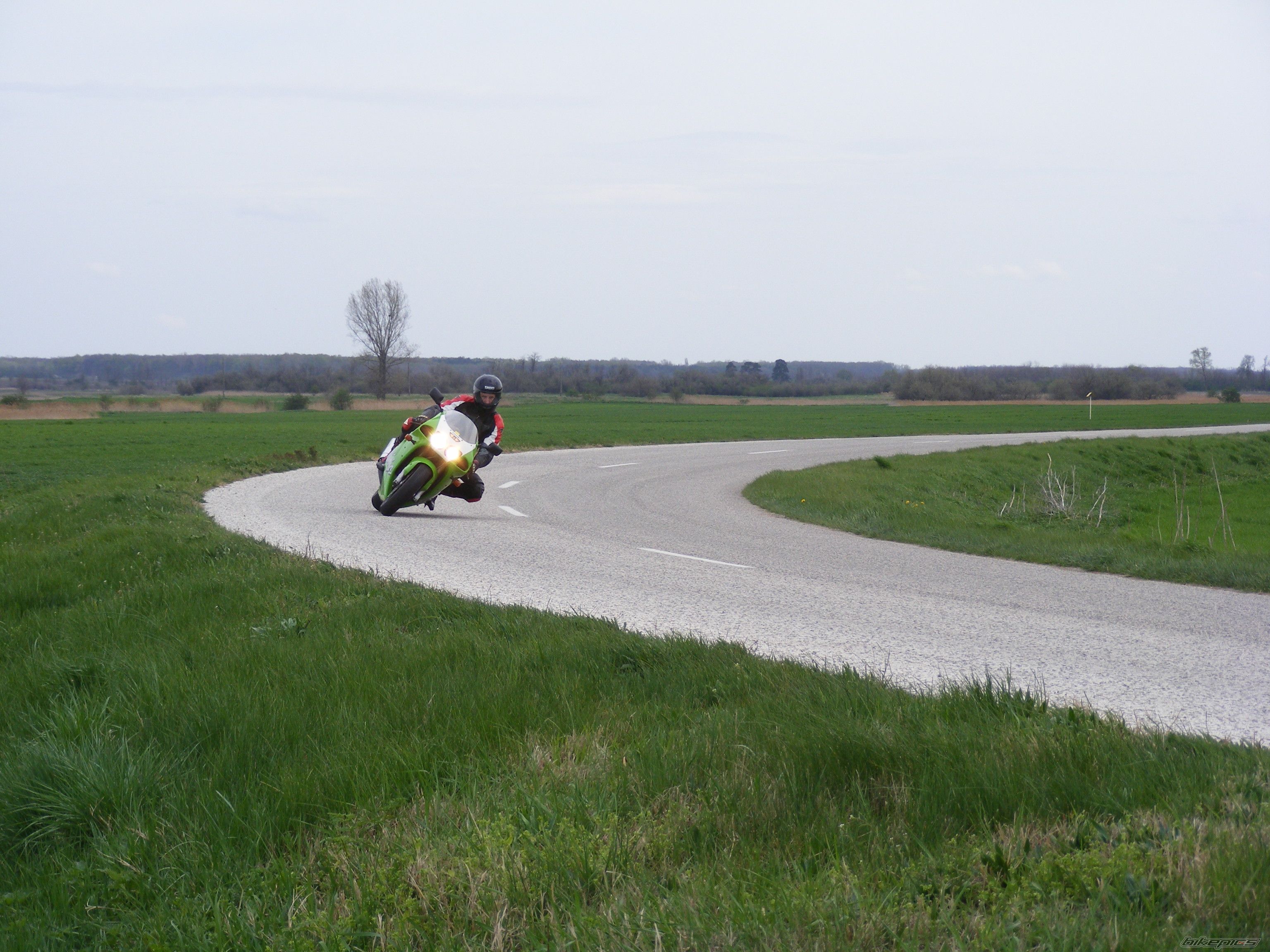 Photo 1253033