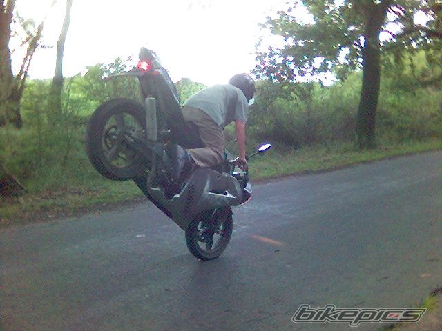 Photo 1253037