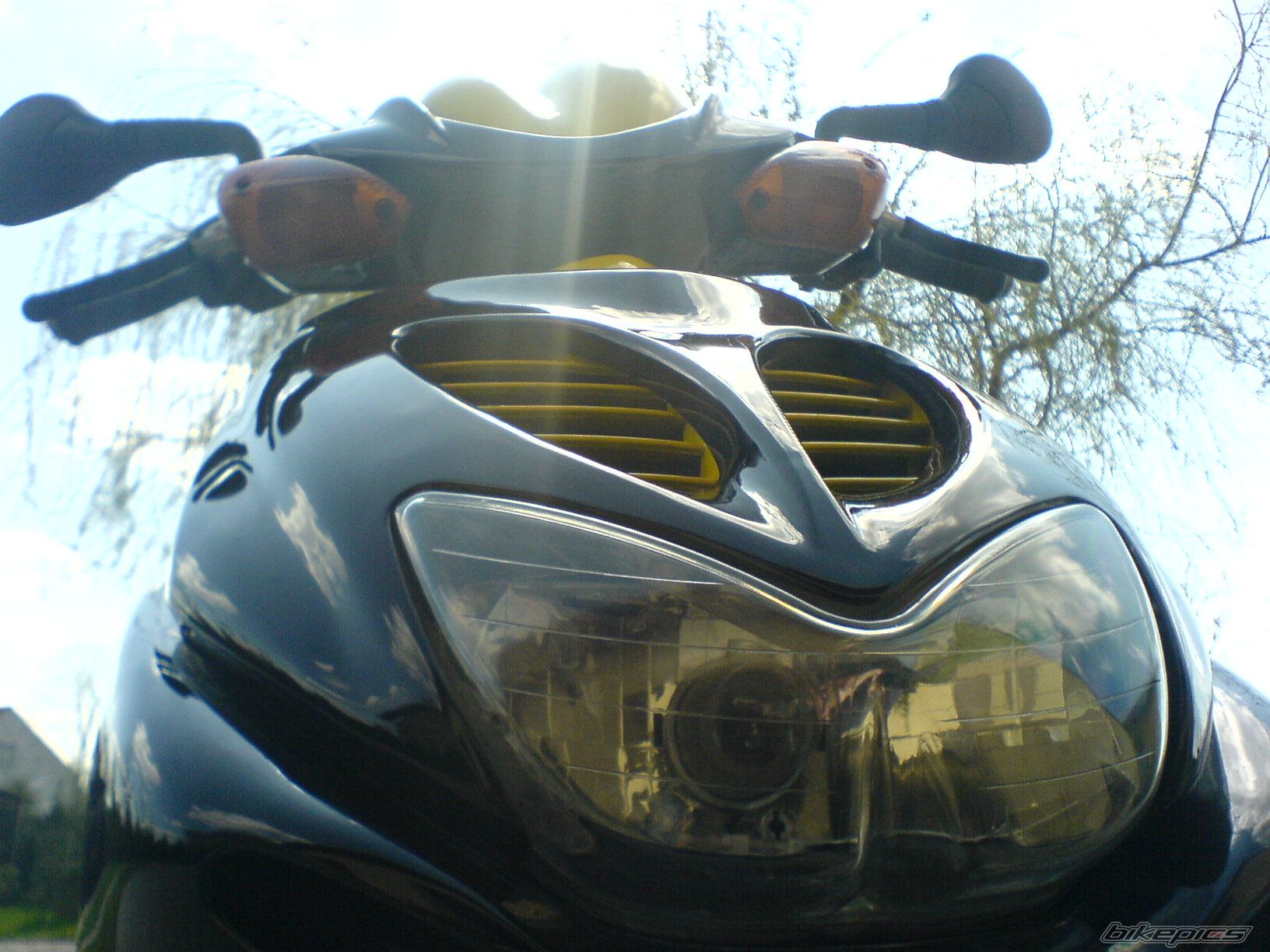 Photo 1253095
