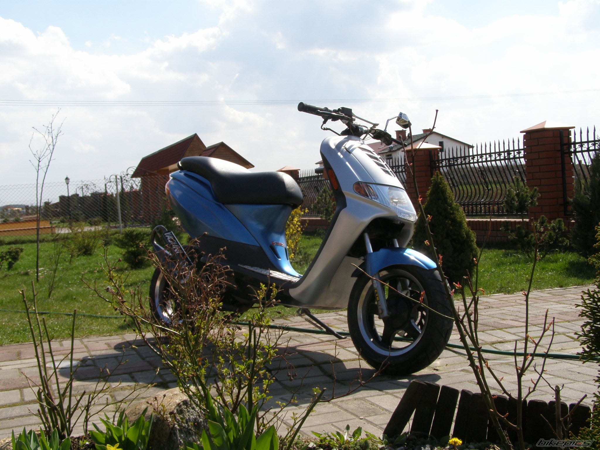 Photo 1253111