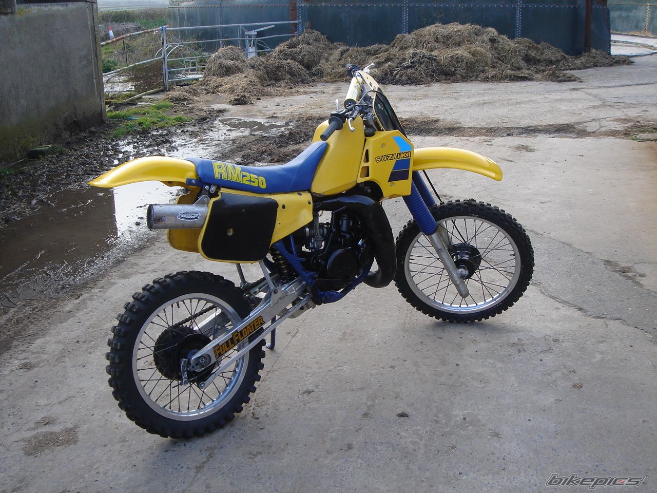 Photo 1253127