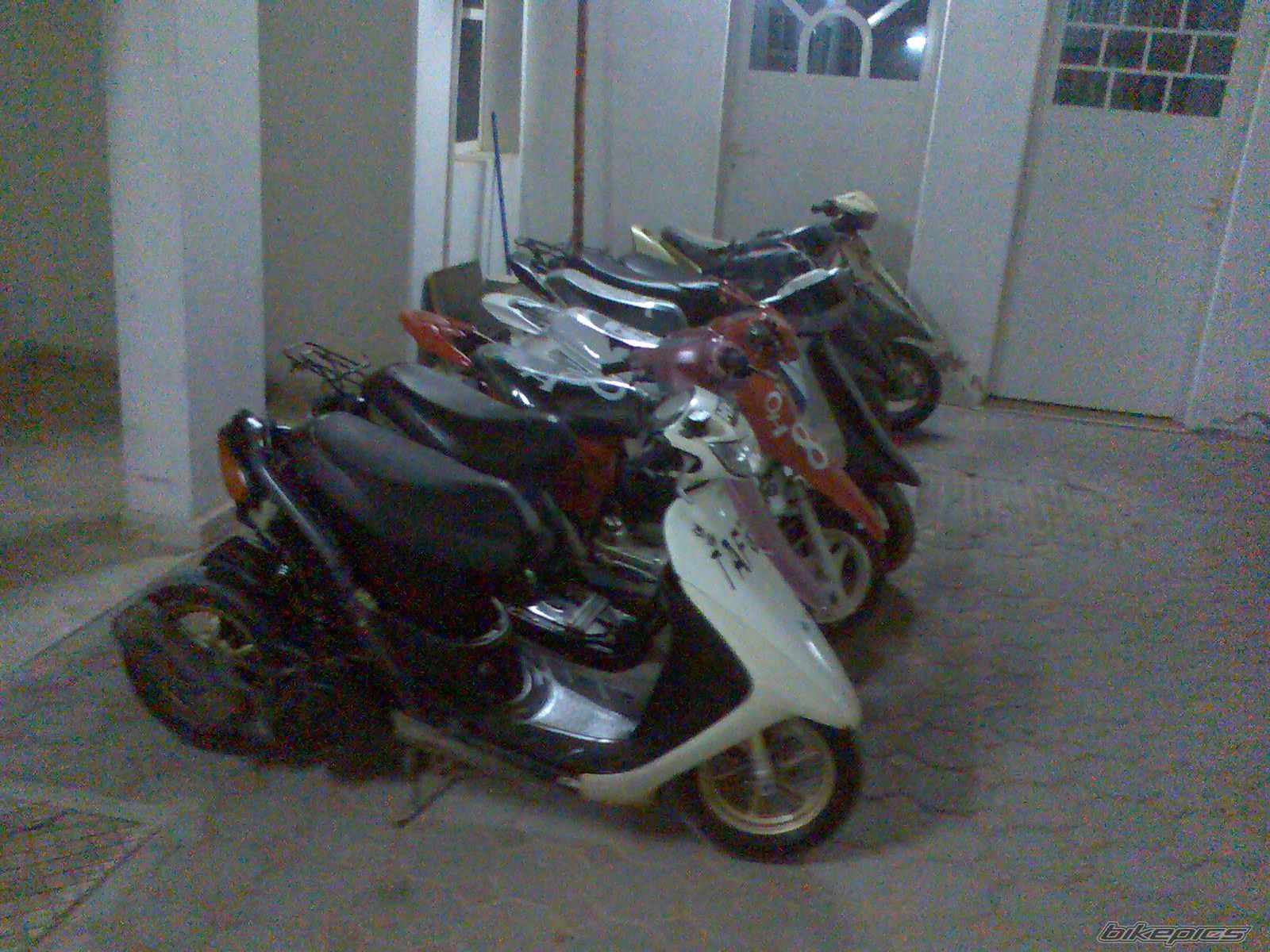 Photo 1253132
