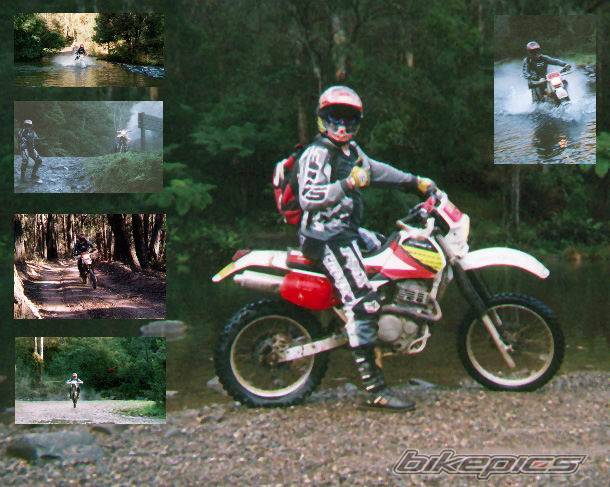 Bike Photo 125319