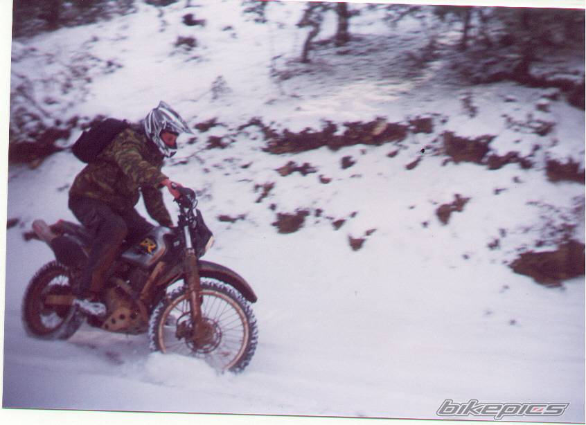 Photo 125322