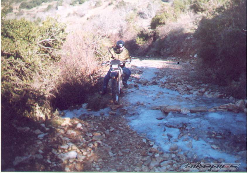 Photo 125326