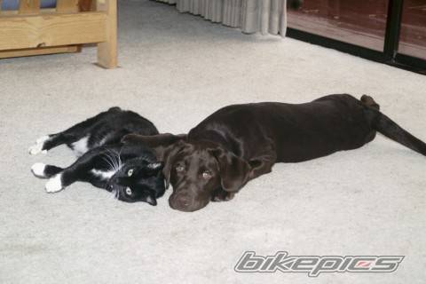 Photo 125328