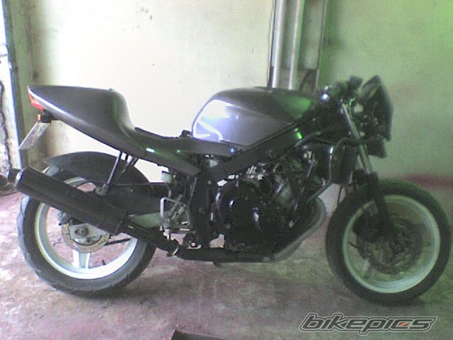 Photo 1253399