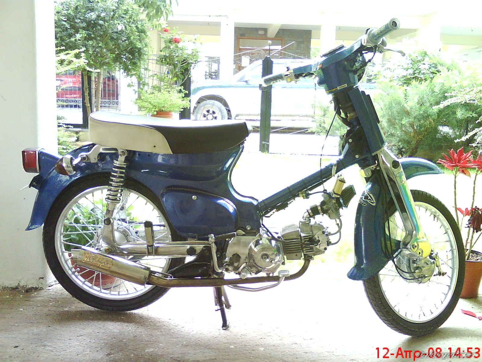 Photo 1253408
