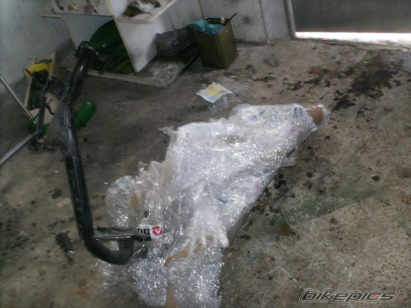 Photo 1253484