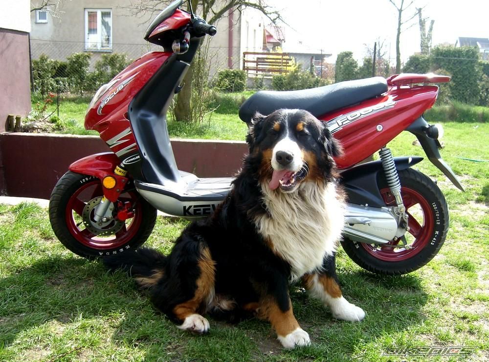 Bike Photo 1253491