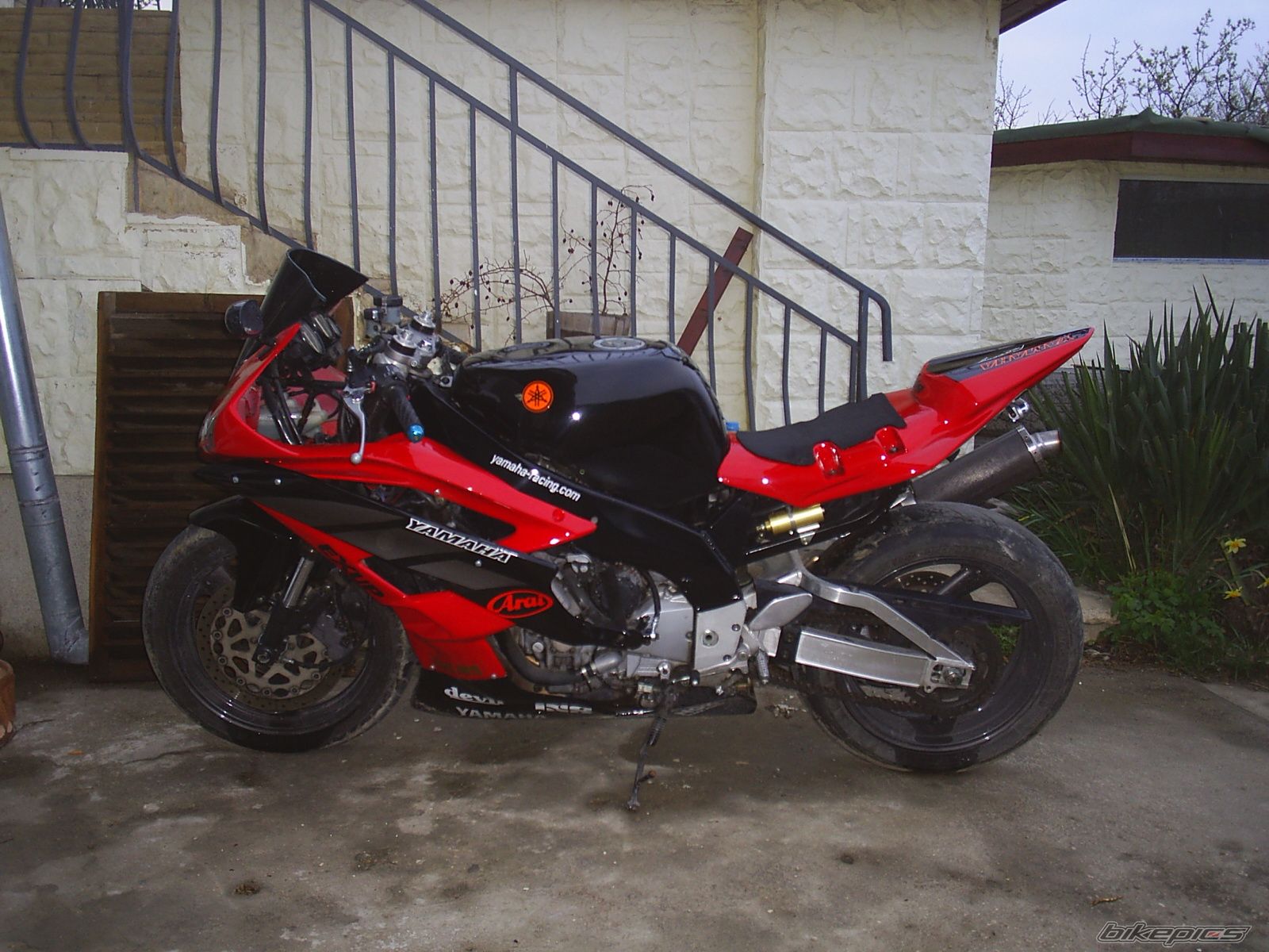 Photo 1253509