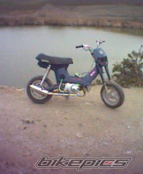 Photo 1253538