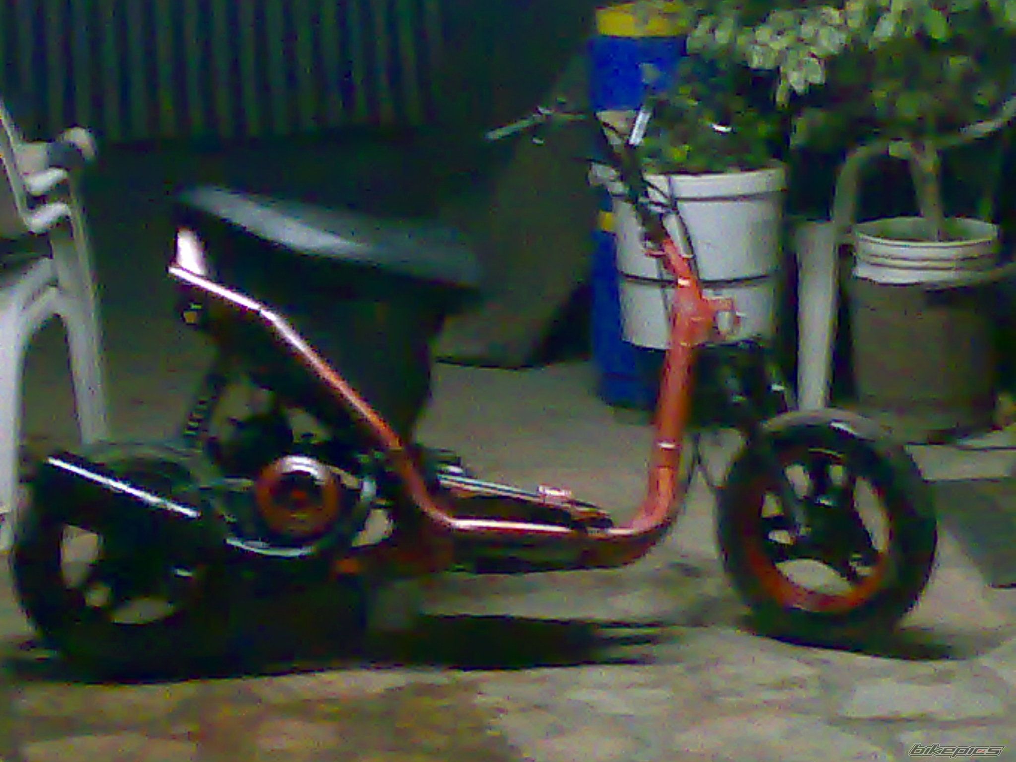 Photo 1253561