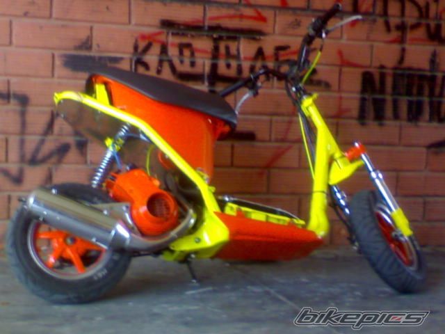 Photo 1253568