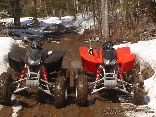 Photo 1253673