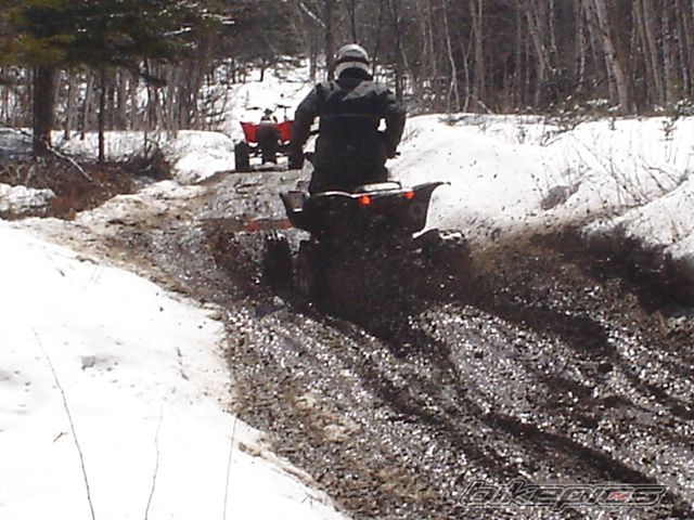 Photo 1253681