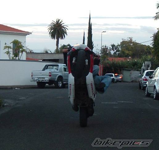 Photo 125373
