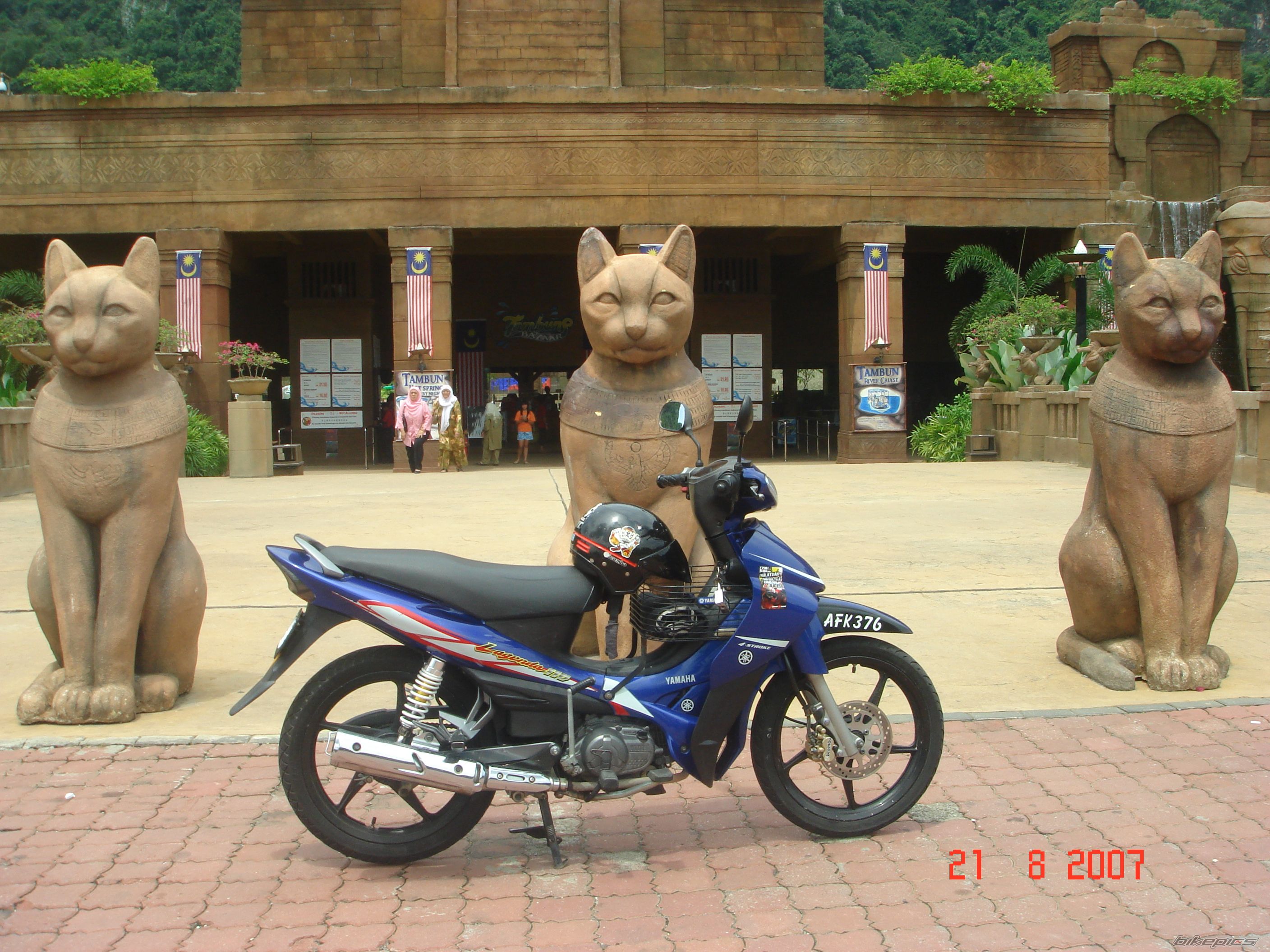 Photo 1253749