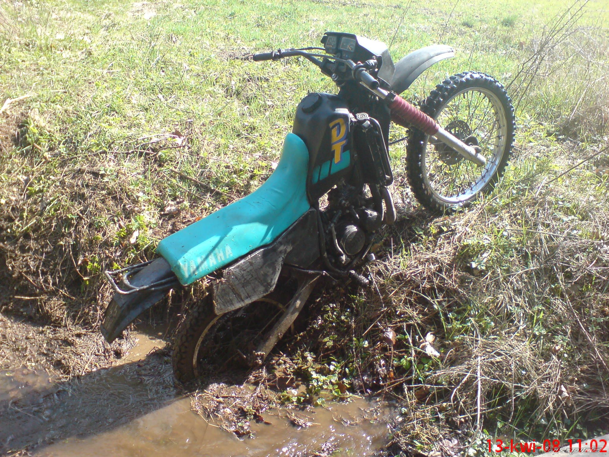 Photo 1253771