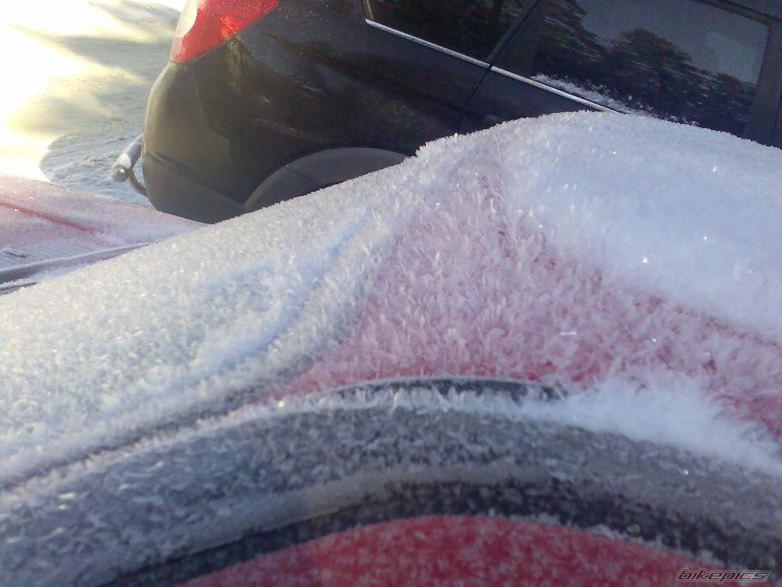 Photo 1253778