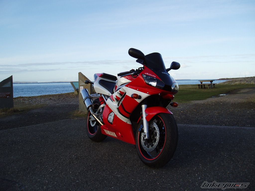 Photo 1253780