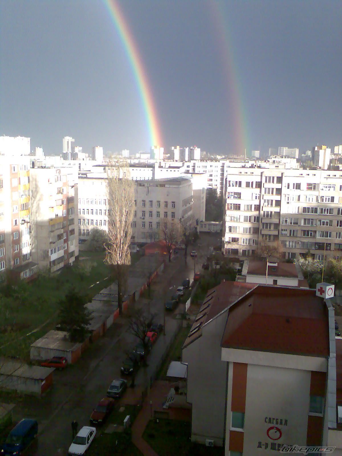 Photo 1253782
