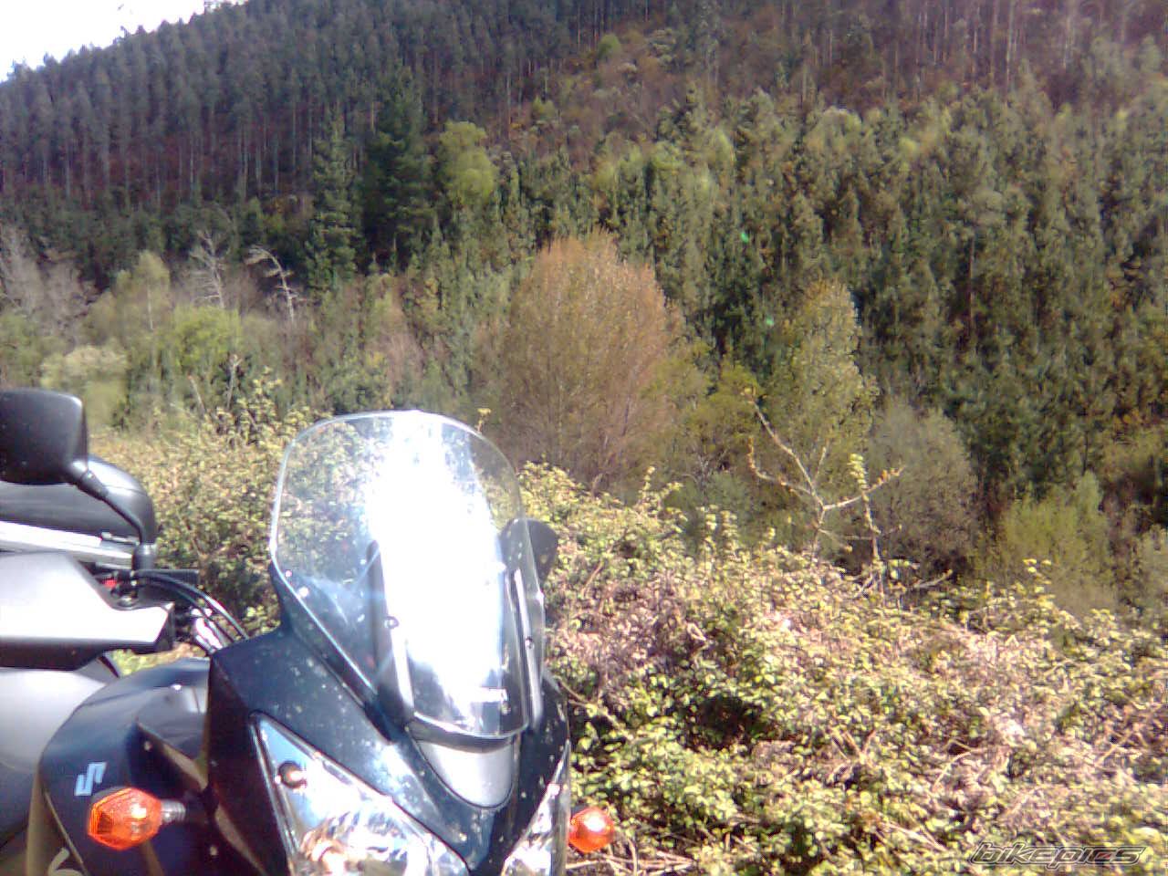 Photo 1253789