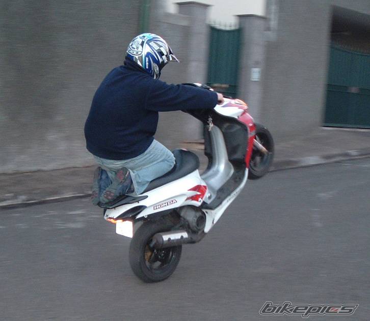Photo 125379