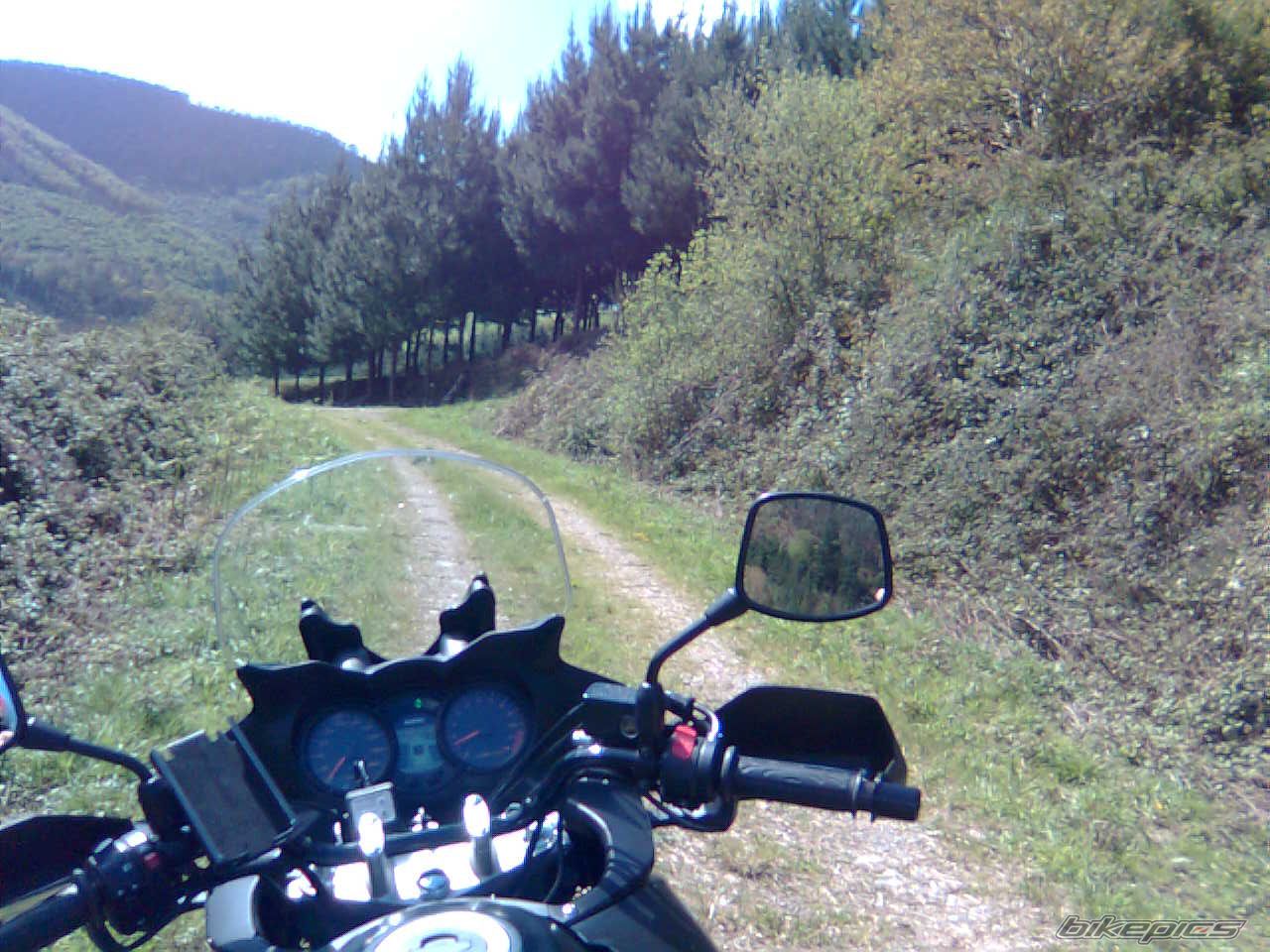 Photo 1253791
