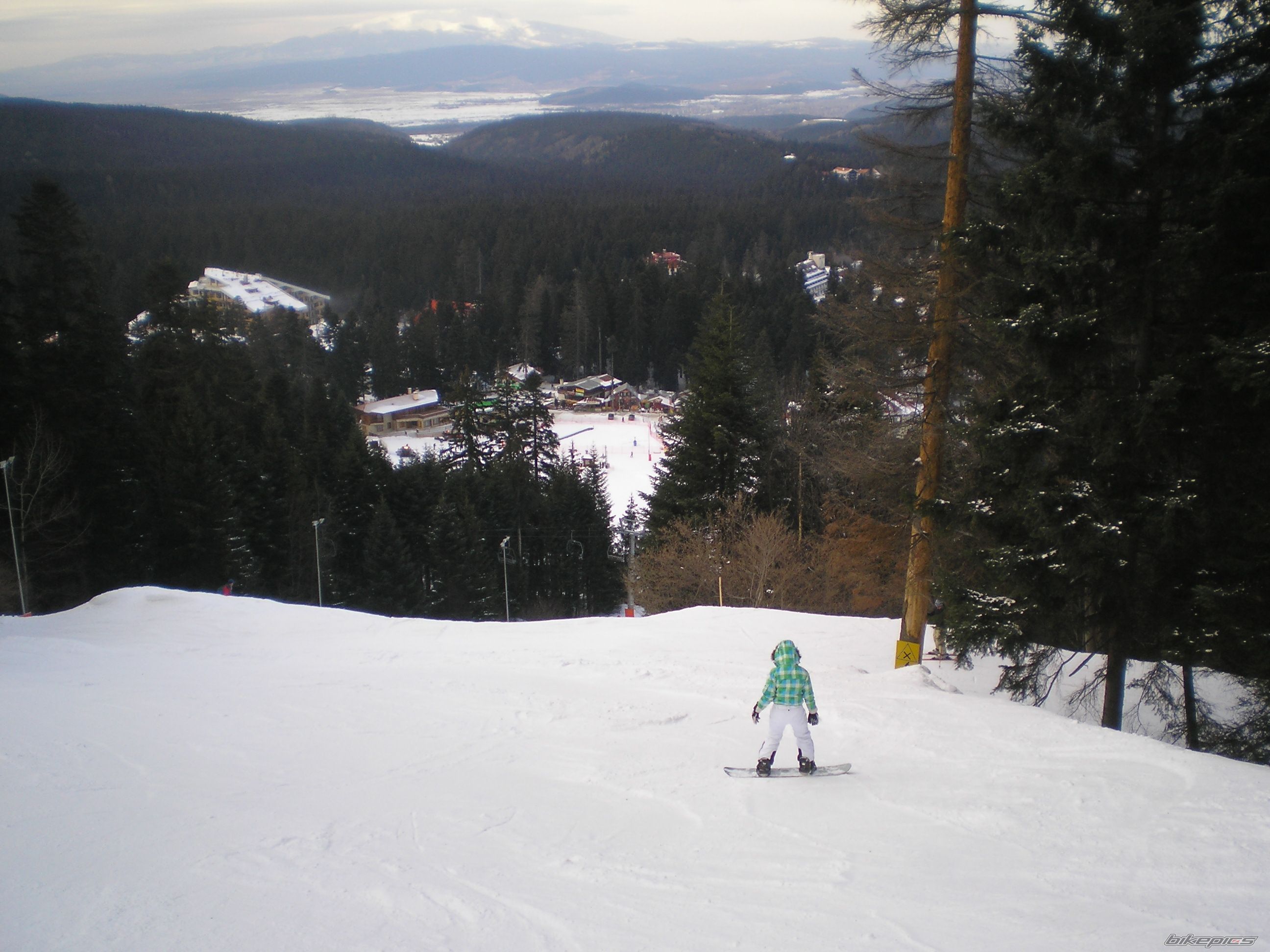 Photo 1253810