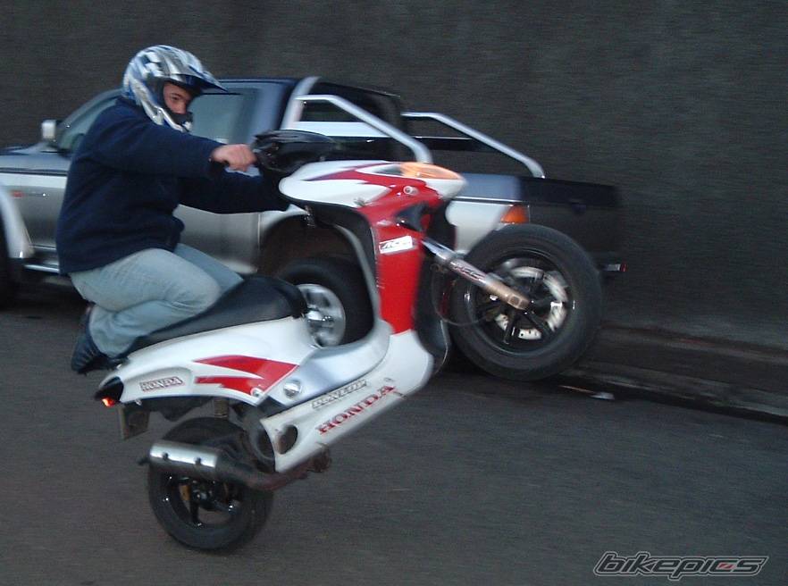Photo 125382