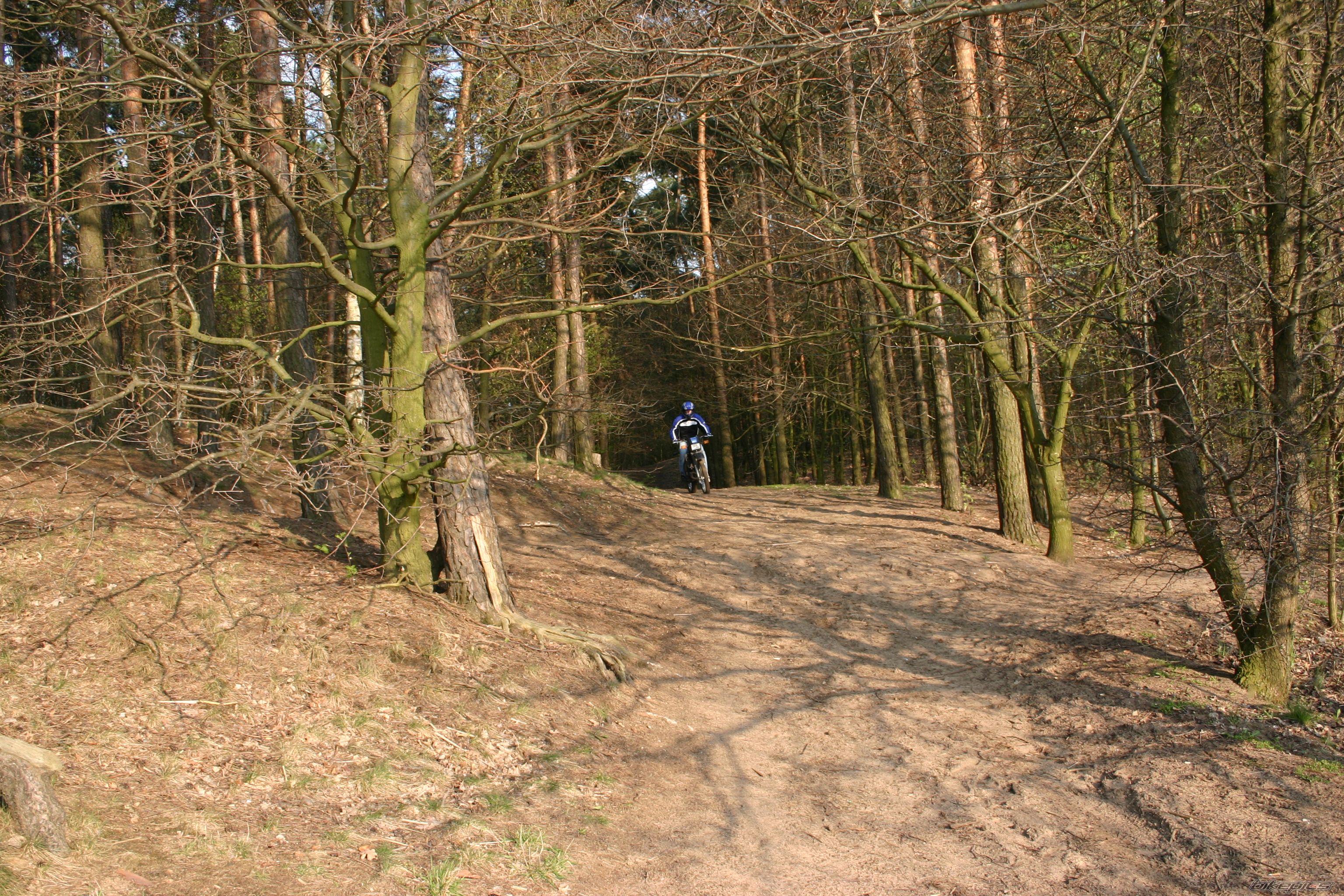Bike Photo 1253894