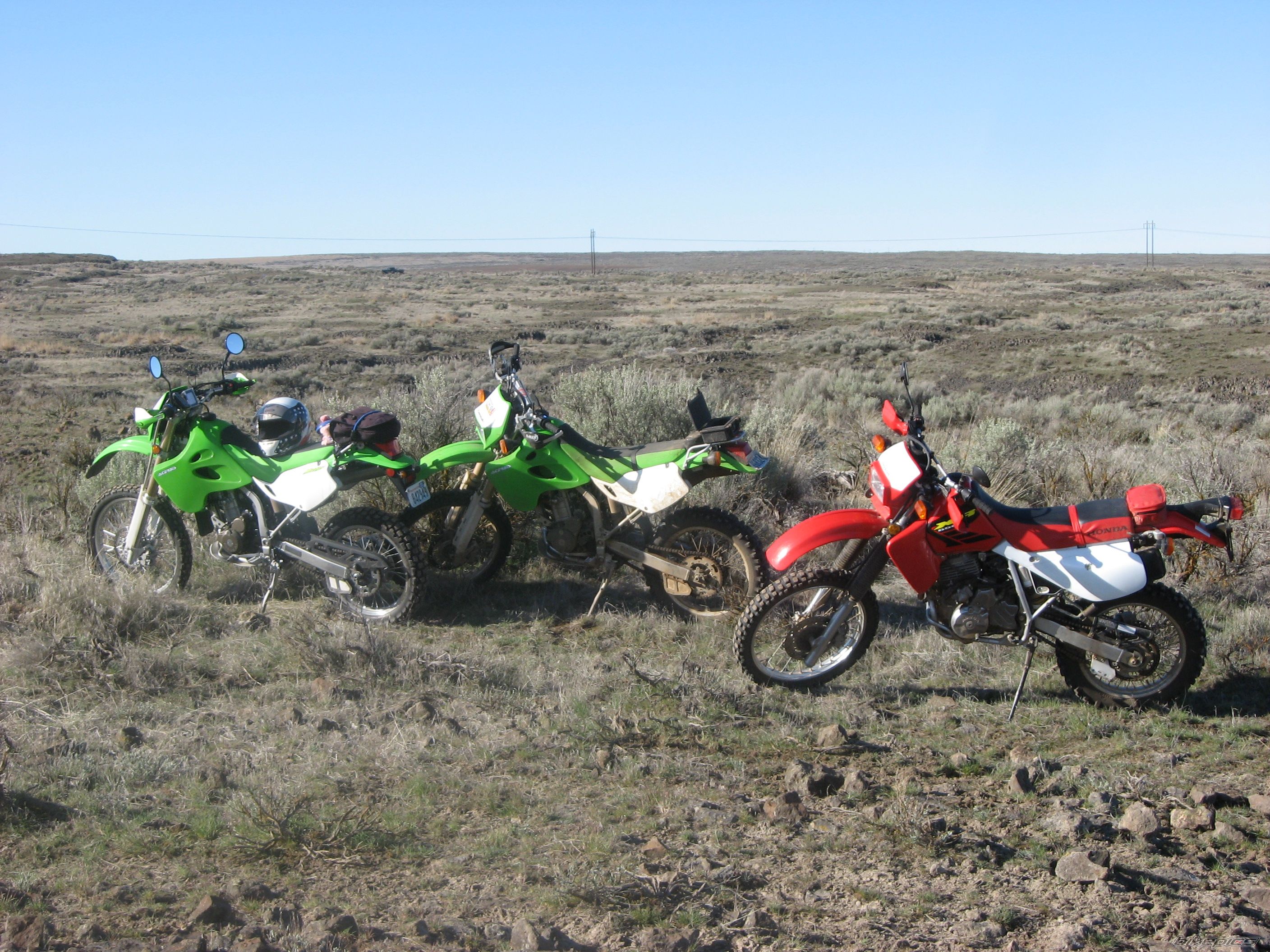 Photo 1253930